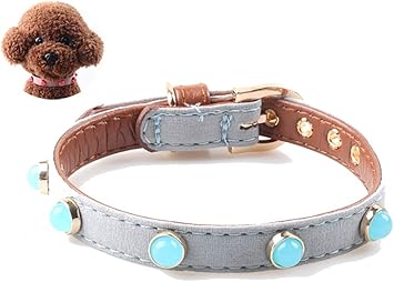 Amazon ペットの首輪キャッツアイペットの犬の首輪ファッションデザイン中小犬の首輪 Navy Xs Welblq ベーシック首輪 通販