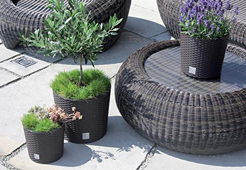 Blumenkübel Blumenkasten Blumentopf Übertopf Rattan Optik Pflanzkübel mit Einsatz Rato Rund (250 Anthrazit) – Bild 7