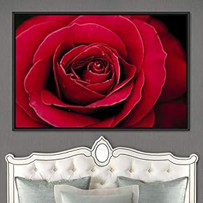 signwin Framed Canvas Wall Art Blooming Closeup Botanical...