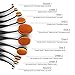 ISASSY Oval Makeup Brush, 10 PCS Professional Soft Toothbrush Shaped Design Oval Make Up Brushes Set Foundation Concealer Blending Cosmetic Brushes