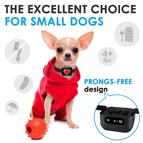 Are Bark Collars Safe For Small Dogs