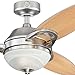 Westinghouse 7877500 Arcadia Two-Light 46-Inch Reversible Three-Blade Indoor Ceiling Fan, Brushed Nickel with Frosted White Alabaster Glass, Works with Alexa