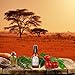 Shea Terra Rose Hips and Carrot Perfecting Serum | Nutrient Rich, All Natural & Organic Oil with Anti-Aging Vitamin A, E and Beta-Carotene for Clear and Glowing Youthful Skin – 2 oz