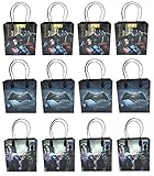DC Comics Batman Vs. Superman 12 Pcs Goodie Bags Party Favor Bags Gift Bags Birthday Bags