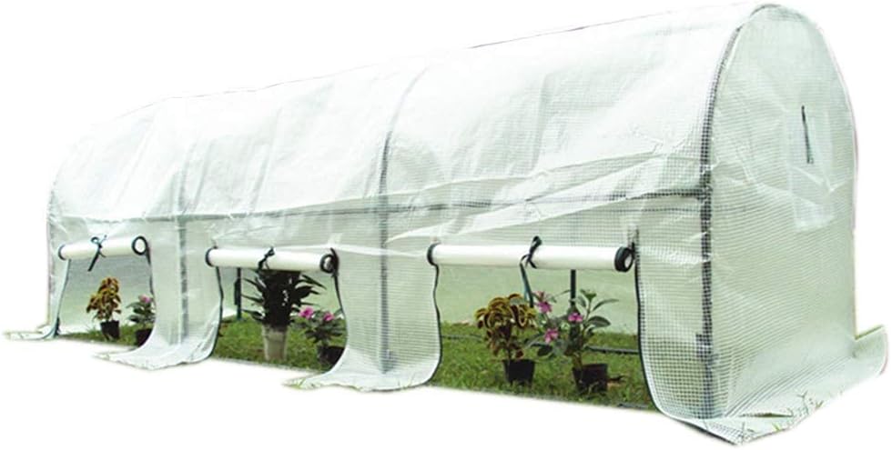 Serre De Jardin Long Greenhouse For Plants Flowers Tomato Grow