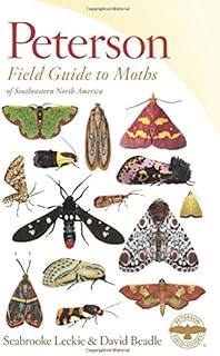 Types Of Moths In North America