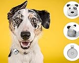 G.O.A.T. Bluetooth Pet Speaker - Spot Dog - Shark Tank Winner 2018!