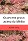 Livro 40 graus acima da média