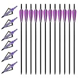 VKEDA 20 Inch Carbon Crossbow Bolts 12 Pack and 6