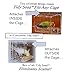 Tidy Seed No-Mess Bird Feeder, Smallthumb 1