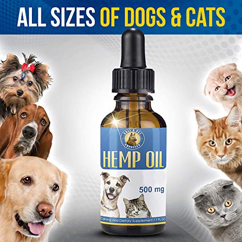 Hemp Oil for Dogs and Cats The Perfect Hemp for Dogs with Anxiety and