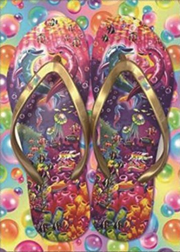 Yeefant Color Slippers Embroidery Paintings No Fading 5D Canvas Rhinestone Pasted DIY Diamond Cross Stitch Home Wall Decor for Bedroom Living Room,12x16 Inch
