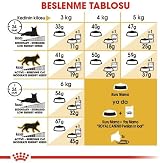 ROYAL CANIN Persian Dry Cat Food 10 kg view 7