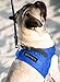 Comfort fit All Weather Step-in Dog Harness - Adjustable Small Dog Harness Medium Sized Dogs - Soft Padded Easy Walk Dog Vest Harnesses