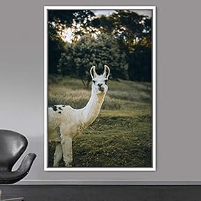 signwin Framed Canvas Wall Art Llama Animals Camels...