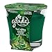 Glade Jar Candle Air Freshener, Tree Lighting Wonder, 3.4 oz