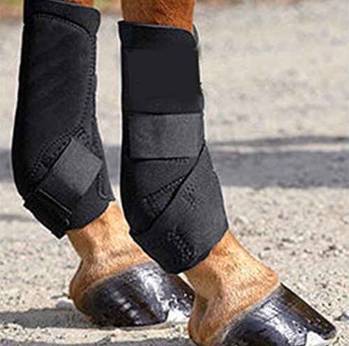 Horses Sport Boots Front Leg, FMJI Horses Ankle Protection Equine Sports Wraps for Training (1 Pair) (Black)