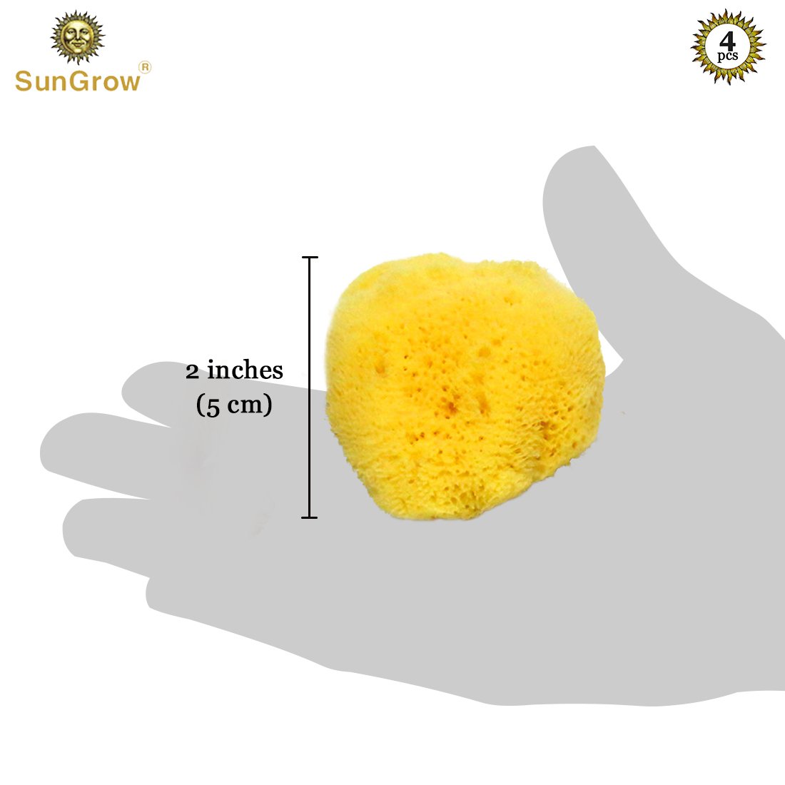 4-Pack Sea Sponges for Hermit Crabs --- Moisture Cocoon that keeps crabs Moist and Hydrated - Prevents Accidental Drowning and Suffocation - 100% All Natural and Safe