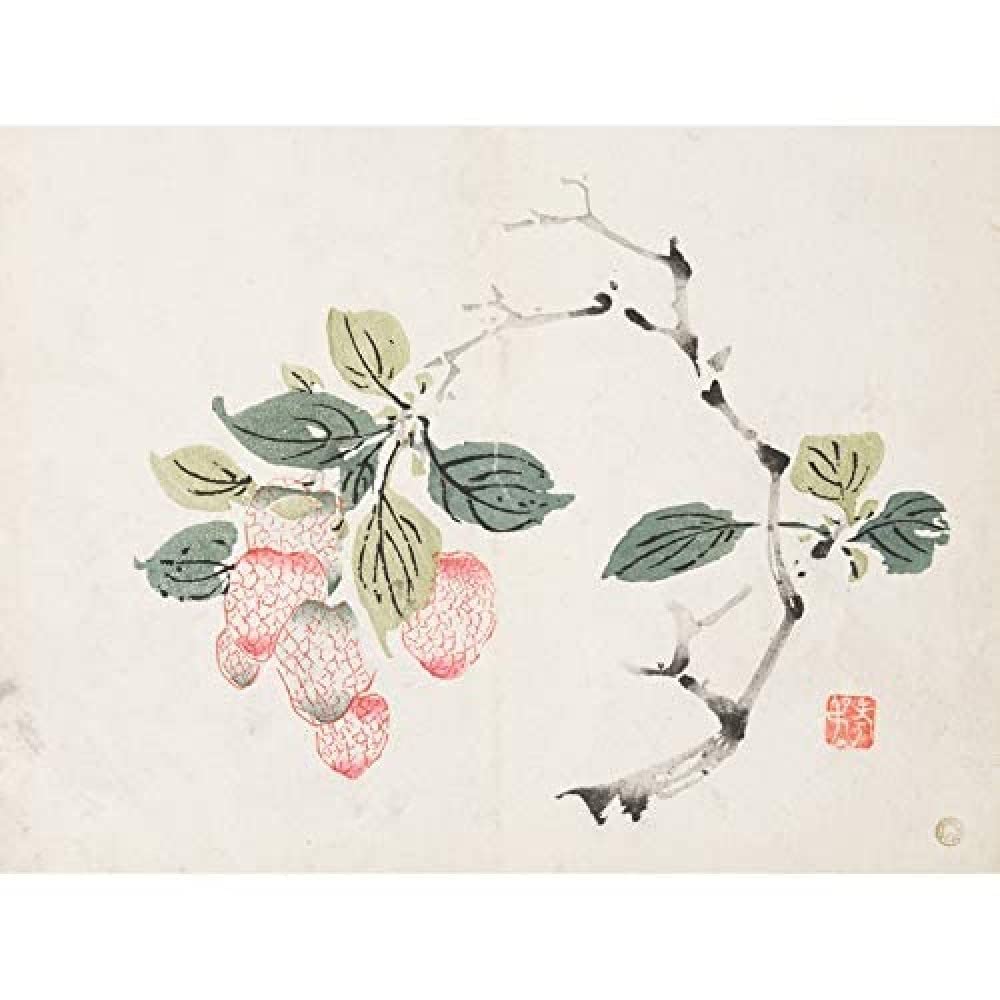 Artery8 Zhengyan Shi Zhu Zhai Lychees Chinese Painting Art Print Canvas Premium Wall Decor Poster Mural