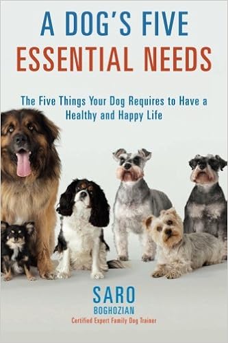 the essential dog