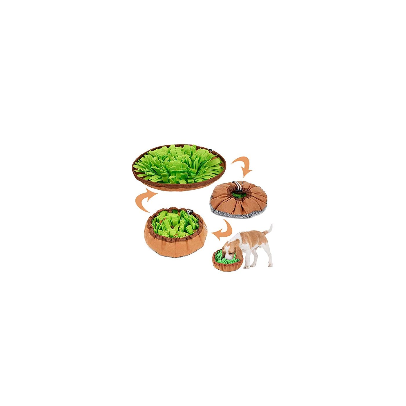 HOME | Essential Outlet