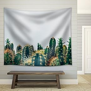 Green Cactus Against White Background - Fabric Wall Tapestry Home Decor - 51x60 inches