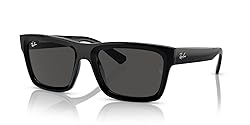 Ray-Ban Men's RB4396 Warren Rectangular