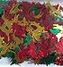 Metallic Christmas Shape Multi Color Confetti 1/2 Oz Tree Reindeer Santa