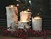 Wilson Birch Candle Holders - Set of 4