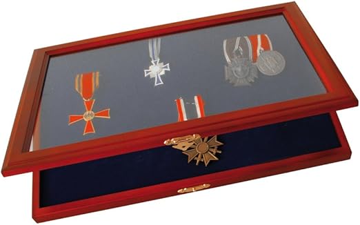 SAFE Vitrina de Madera Segura para medallas e Insignias de Honor: Amazon.es: Hogar
