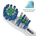 Oliver James Replacement Brush Heads | 12 Pack Toothbrush Heads Compatible with Oral B Dual Clean | Removes Plaque and Decreases Gingivitis