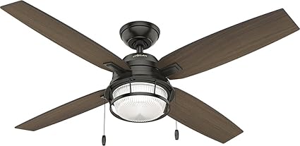 Hunter Indoor Outdoor Ceiling Fan With Led Light And Pull Chain