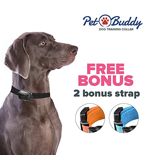 2x Humane Bark Collar For Small Dogs Also Medium & Large Dog Up To