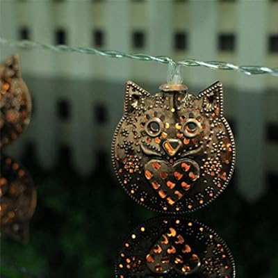 Sumeier Owl Led Lights 65 Ft 10 Led Battery Operated Fairy
