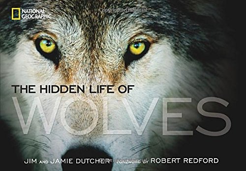 Download The Hidden Life of Wolves Download The Hidden Life of Wolves