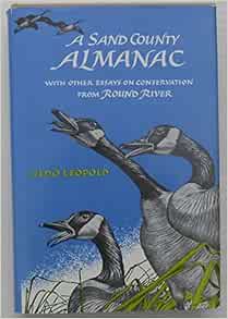 A sand county almanac amazon image