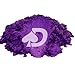 Vixen ColorShift Pearl 5g Mica Powder Pigment | Violet Blue Purple Rose Shift | Automotive Grade Pearlescent Paint Colorant | Epoxy Resin & Lacquer Dye | UV Resistant | DIY Arts/Crafts