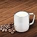 Chef's Star Stainless Steel Frothing Pitcher, 12 Ounce
