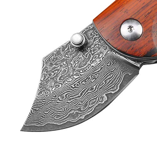 KUBEY Folding Knife, Small Pocket Knife with Wooden Handle, EDC Compact Knife with Razor Sharp Blade and Safety Liner Lock for Hunting Camping Hiking Tool (DM143-1) - Thumbnail 7