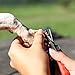 Paws & Pals Dog Nail Clippers - Scissors for Large or Small Dogs and Cats Stainless Steel Trim Blades with Safety Guard - Large