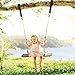 CANWAY Set of 2 Tree Swing Straps Hanging Kit Holds Max 2200 LB with Two Heavy Duty Carabiners (Stainless Steel) - Camping Hammock Accessories(10ft)