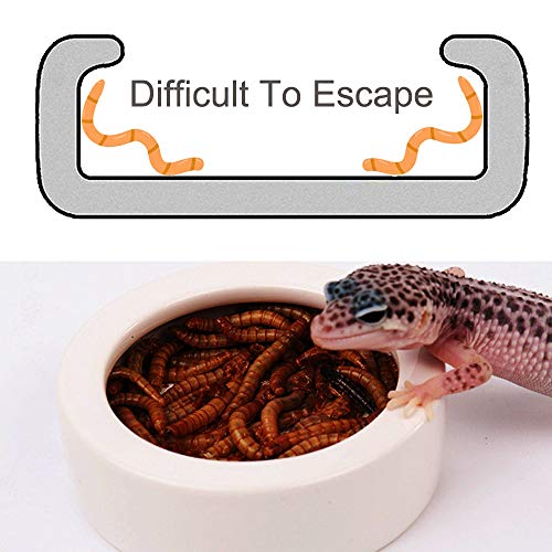 1 SLSON+Reptile+Ceramics+Mealworm+Terrestrial