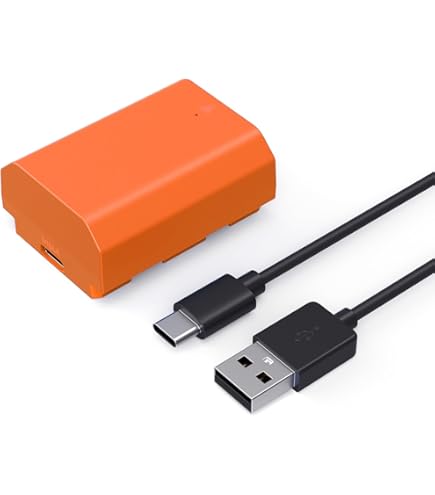 Amazon.com : Kastar 2-Pack NP-FZ100 Rechargeable Li-ion Battery
