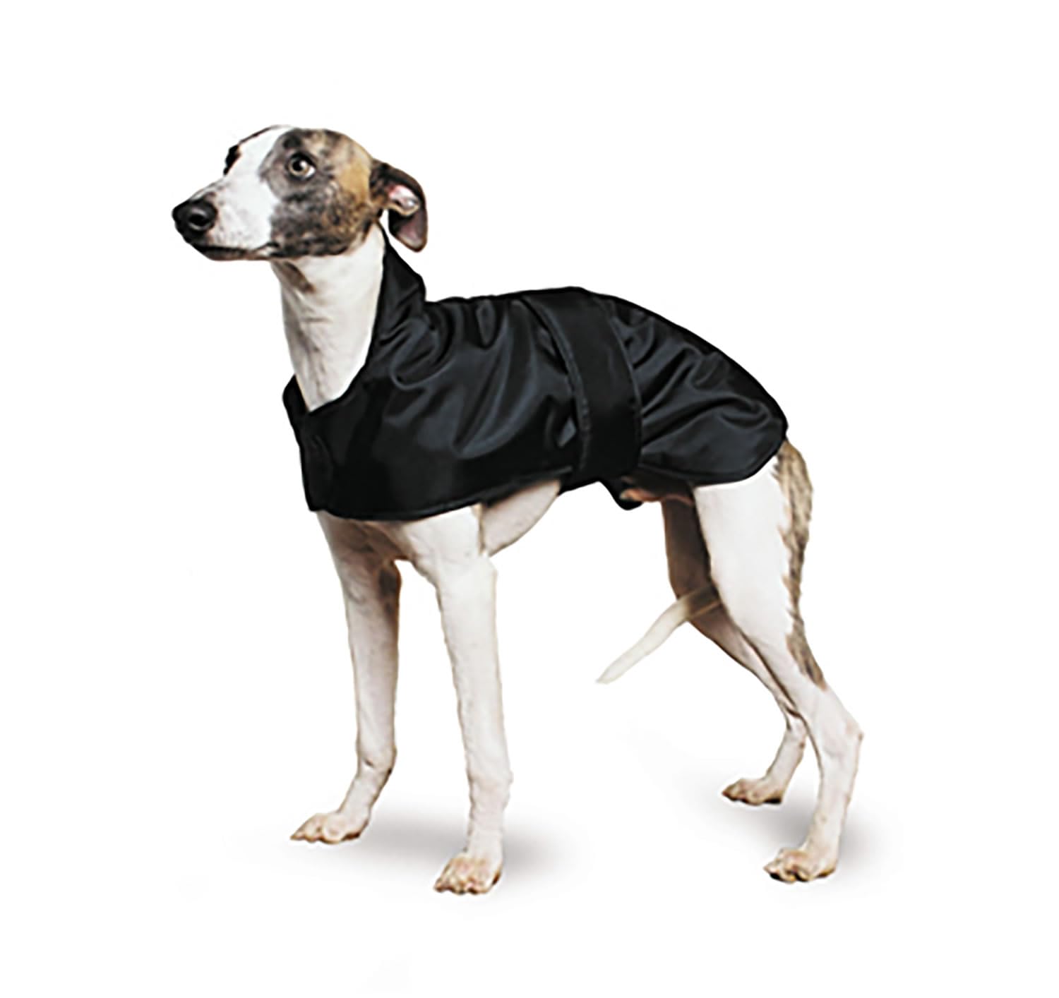 Ancol Greyhound Dog Coat in Black - Polyester Hook & Loop Fastening Cosy Puppy Walking Winter Outfit Pet Sweater - 70cm — image 1