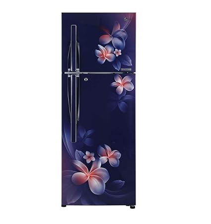 LG 260 L 3 Star Inverter Linear Frost-Free Double-Door Refrigerator (GL-T292RBPN, Blue Plumeria, Convertible)