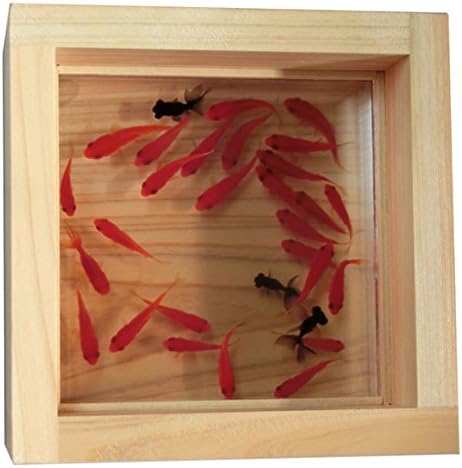 Amazon お一人様1個限り ２個限定 00円割引 金魚プレミアム アクリルアート 極 手作り ハンドメイド ヒノキの プレゼント 付き 還暦祝い 新築祝い 結婚祝い 退職 引越し お祝い 誕生日 贈り物 ギフト 男性 女性 こだわりと安心の純日本製