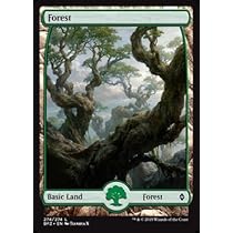 Amazon.com: Magic The Gathering - Forest (272) (272/274