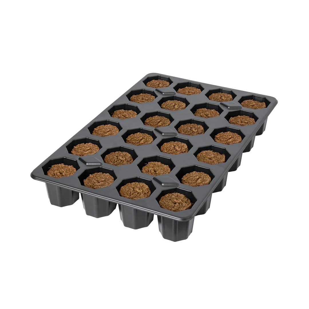 ROOT!T 24 Seed Starter Kit With Coco Coir Dry Plugs Reusable Seedlings Tray For Nursery Growing Propagation Peat Free Germination Kit
