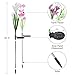 SW SAPPYWOON Outdoor Solar Flower Lights, 2 Packs Solar Garden Stake Lights with 8 Lily Flowers, Multi-Color Changing LED Solar Outdoor Garden Lights for Garden, Patio, Backyard (Purple and White)