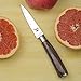 Zaang Paring Knife 3.5 Inch High Carbon Stainless Steel Razor Sharp Blade,Professional Quality Kitchen Knife With Ergonomically Wood Handle